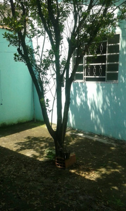 Imagem Casa com 2 Quartos à Venda, 125 m² em Vila Velha - Roseira Imagem Casa com 2 Quartos à Venda, 125 m² em Vila Velha - Roseira