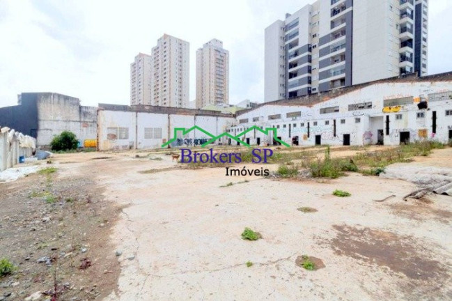 Terreno para Alugar,  em Silveira - Santo André