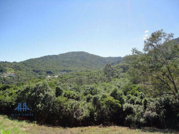 Imagem Terreno à Venda, 1.023 m² em Itacorubi - Florianópolis Imagem Terreno à Venda, 1.023 m² em Itacorubi - Florianópolis