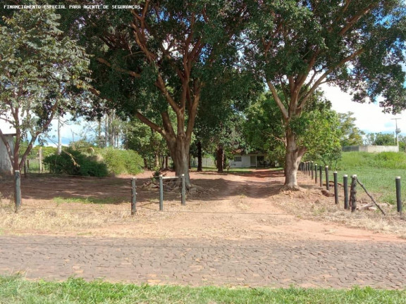 Imagem Chácara com 4 Quartos à Venda, 70.180 m² em Zona Rural - Flórida Imagem Chácara com 4 Quartos à Venda, 70.180 m² em Zona Rural - Flórida