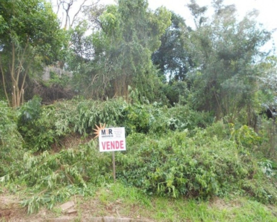 Imagem Terreno à Venda, 743 m² em Juriti - Nova Petrópolis