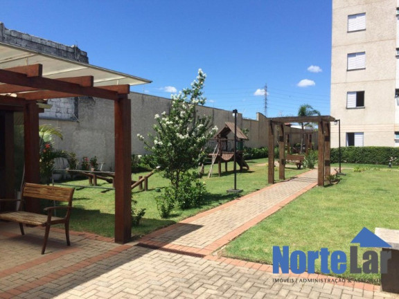 Imagem Apartamento com 2 Quartos à Venda, 50 m² em Vila Palmeiras - São Paulo