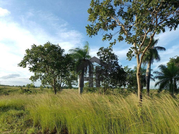 Imagem Terreno à Venda, 800 m² em Zona Rural - Tracunhaém Imagem Terreno à Venda, 800 m² em Zona Rural - Tracunhaém