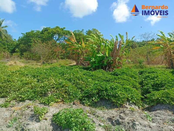 Imagem Chácara à Venda, 145 m² em Coqueiro Do Lagamar - Pindoretama Imagem Chácara à Venda, 145 m² em Coqueiro Do Lagamar - Pindoretama