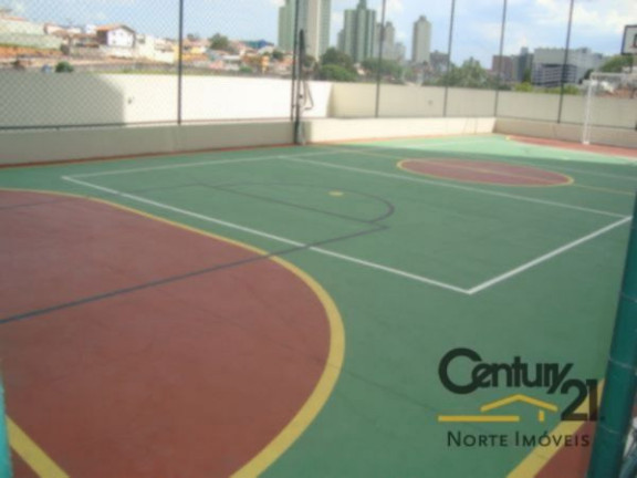 Imagem Apartamento com 3 Quartos à Venda, em Vila Mazzei - São Paulo Imagem Apartamento com 3 Quartos à Venda, em Vila Mazzei - São Paulo