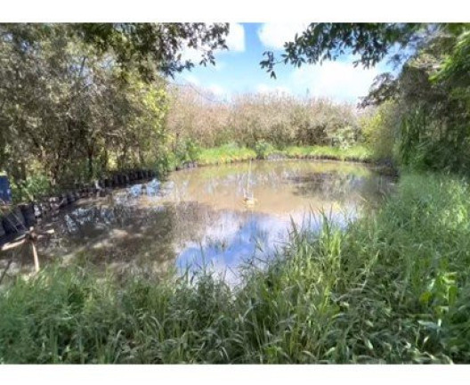 Imagem Imóvel à Venda, 8.000 m² em área Rural De Bauru - Bauru
