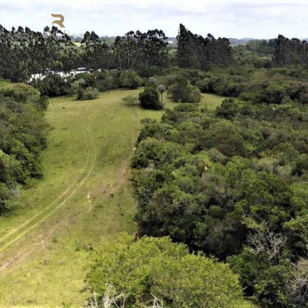 Imagem Chácara à Venda, 5.000 m² em Fiuza - Viamão Imagem Chácara à Venda, 5.000 m² em Fiuza - Viamão