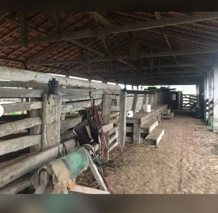 Imagem Fazenda à Venda, 150 m² em Cidade Morena - Aripuanã Imagem Fazenda à Venda, 150 m² em Cidade Morena - Aripuanã