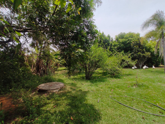 Imagem Chácara com 3 Quartos à Venda, 5.000 m² em Margens Da Raposo Tvares - Alambari Imagem Chácara com 3 Quartos à Venda, 5.000 m² em Margens Da Raposo Tvares - Alambari