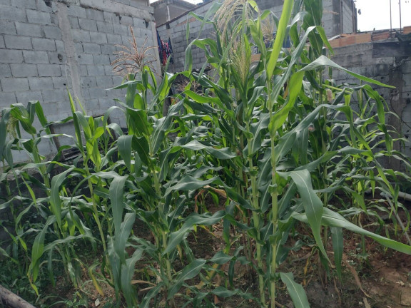 Imagem Terreno à Venda, 120 m² em Jardim Itapuã - Itaquaquecetuba