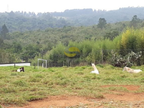 Imagem Chácara com 2 Quartos à Venda, 21.250 m² em Jardim Brasília - Mairinque Imagem Chácara com 2 Quartos à Venda, 21.250 m² em Jardim Brasília - Mairinque