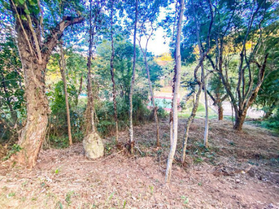 Imagem Terreno à Venda, 322 m² em Vargem Grande - Teresópolis Imagem Terreno à Venda, 322 m² em Vargem Grande - Teresópolis