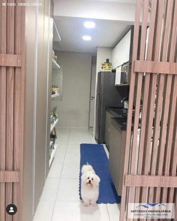 Imagem Apartamento com 3 Quartos à Venda, 66 m² em Parque Jaçatuba - Santo André