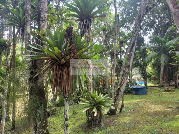 Imagem Imóvel com 2 Quartos à Venda, 2.900 m² em Palmeiras - Juquitiba Imagem Imóvel com 2 Quartos à Venda, 2.900 m² em Palmeiras - Juquitiba