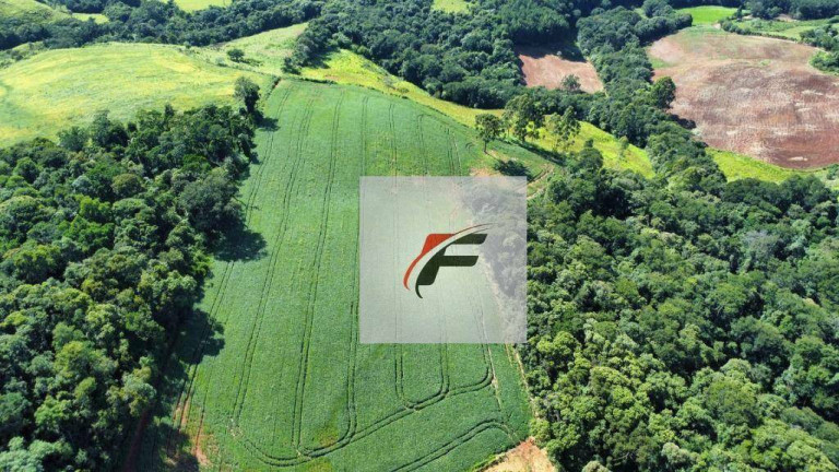 Imagem Fazenda à Venda, 145.200 m² em Zona Rural - Palmital Imagem Fazenda à Venda, 145.200 m² em Zona Rural - Palmital