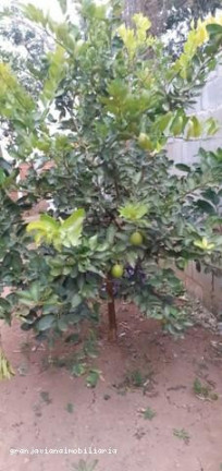 Imagem Chácara à Venda,  em Bairro Altos De Caucaia - Cotia