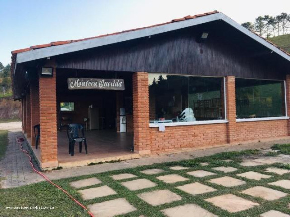 Imagem Chácara à Venda,  em Consultar - Ibiúna