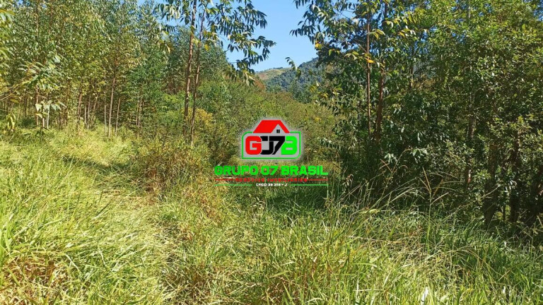 Imagem Chácara à Venda, 10 m² em Zona Rural De Paraibuna - Paraibuna