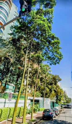 Imagem Imóvel com 4 Quartos à Venda, 468 m² em Cambuí - Campinas Imagem Imóvel com 4 Quartos à Venda, 468 m² em Cambuí - Campinas