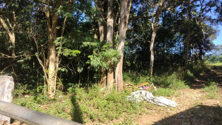 Terreno à Venda, 25.000 m² em Jardim Cambiri - Ferraz De Vasconcelos
