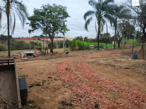 Imagem Imóvel à Venda,  em Três Cruzes - Elias Fausto