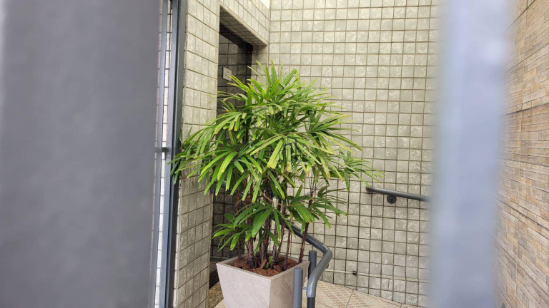 Imagem Apartamento com 3 Quartos à Venda, 99 m² em Mauá - São Caetano Do Sul