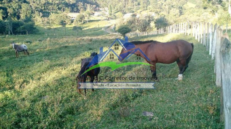 Imagem Fazenda à Venda, 55 m² em Joanópolis Imagem Fazenda à Venda, 55 m² em Joanópolis