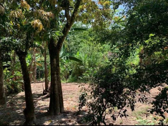 Imagem Terreno à Venda, 18.000 m² em Jardim Santo Antônio Da Boa Vista - Jacareí Imagem Terreno à Venda, 18.000 m² em Jardim Santo Antônio Da Boa Vista - Jacareí