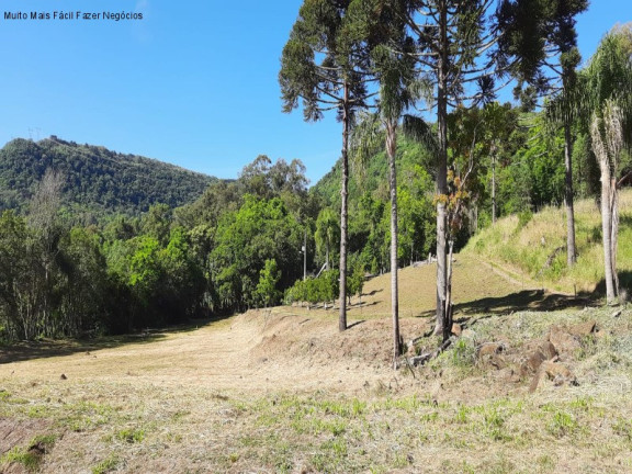 Imagem Terreno à Venda, 150 m² em Linha Araripe - Nova Petrópolis