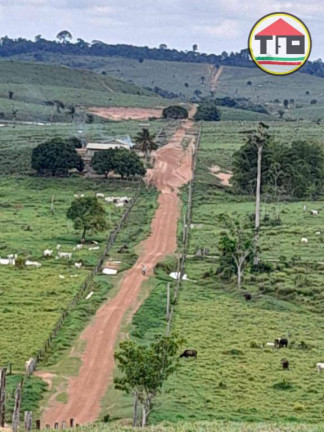 Fazenda à Venda, 51.304.000 m² em Zona Rural - Itupiranga