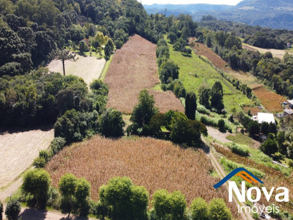 Imagem Imóvel à Venda,  em Linha Araripe - Nova Petrópolis