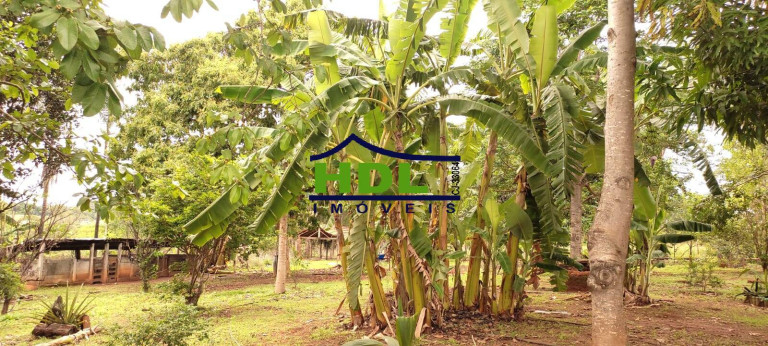Imagem Chácara com 3 Quartos à Venda, 5 m² em Zona Rural - Hidrolândia