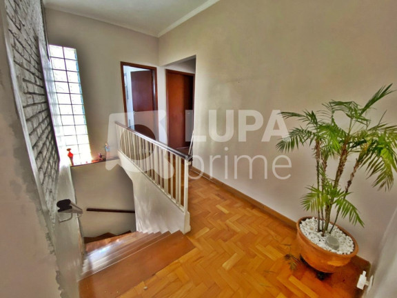 Imagem Casa com 4 Quartos à Venda, 250 m² em Vila Maria Alta - São Paulo