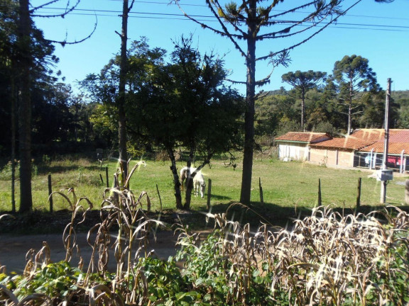 Imagem Terreno à Venda, 515 m² em Bateias - Campo Largo Imagem Terreno à Venda, 515 m² em Bateias - Campo Largo