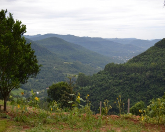 Imagem Imóvel à Venda,  em Serra Verde - Picada Café