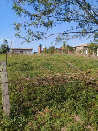 Imagem Terreno à Venda, em Vila Palmeira - Santo Antônio Da Patrulha Imagem Terreno à Venda, em Vila Palmeira - Santo Antônio Da Patrulha