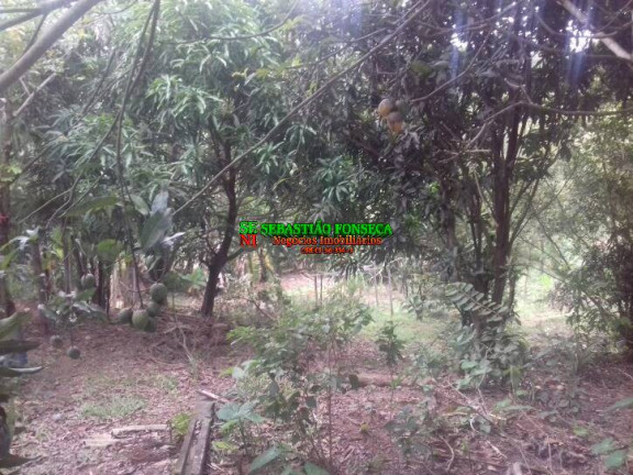 Imagem Chácara com 2 Quartos à Venda, 1.000 m² em Santa Cecília 2 - São José Dos Campos Imagem Chácara com 2 Quartos à Venda, 1.000 m² em Santa Cecília 2 - São José Dos Campos