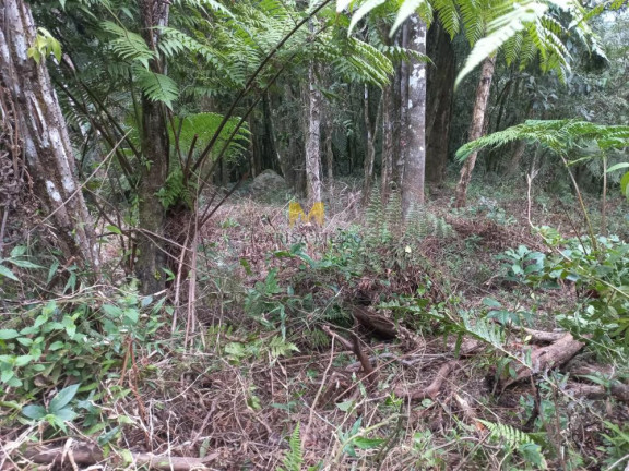 Imagem Chácara à Venda, em Recreio Da Serra - Piraquara Imagem Chácara à Venda, em Recreio Da Serra - Piraquara