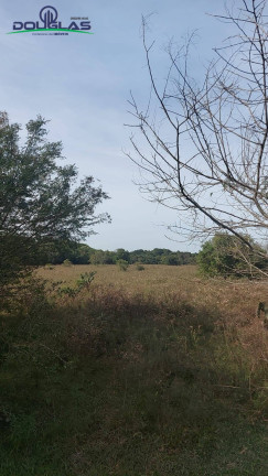 Imagem Chácara à Venda, 40.000 m² em Viamão Imagem Chácara à Venda, 40.000 m² em Viamão