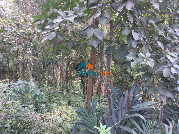 Imagem Terreno à Venda, 2.765 m² em Chácara Represinha - Cotia Imagem Terreno à Venda, 2.765 m² em Chácara Represinha - Cotia