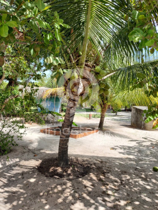 Imagem Imóvel com 4 Quartos à Venda, 1.200 m² em Parque Pecem - Catuana