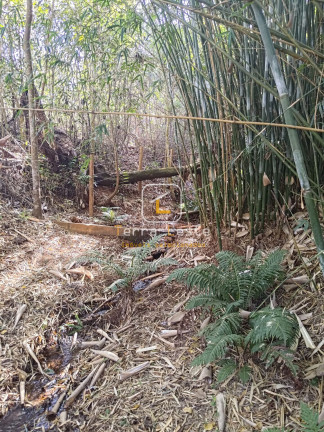 Imagem Terreno à Venda, 20.000 m² em Piedade Do Paraopeba - Brumadinho Imagem Terreno à Venda, 20.000 m² em Piedade Do Paraopeba - Brumadinho