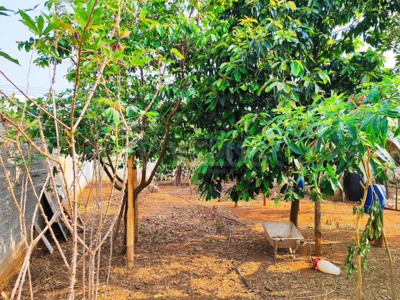 Imagem Casa com 2 Quartos à Venda, 114 m² em Chapadinha - Itapetininga Imagem Casa com 2 Quartos à Venda, 114 m² em Chapadinha - Itapetininga