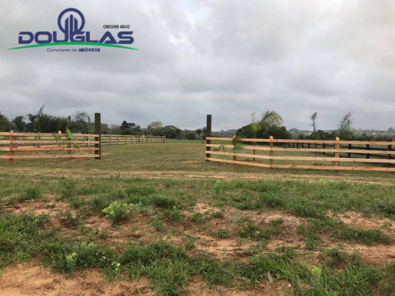 Imagem Terreno à Venda, 1.000 m² em águas Claras - Viamão Imagem Terreno à Venda, 1.000 m² em águas Claras - Viamão