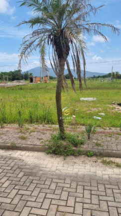 Imagem Terreno à Venda, 200 m² em Sertão Do Trombudo - Itapema