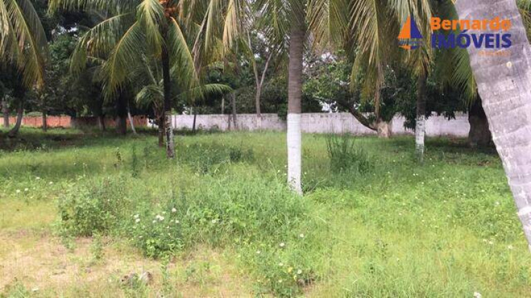 Imagem Chácara com 3 Quartos à Venda, 9 m² em Tijucussú - Cascavel