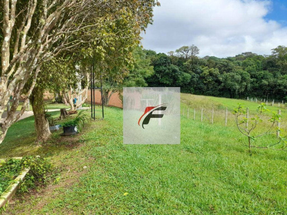 Imagem Chácara com 3 Quartos à Venda, 20.000 m² em Colônia Malhada - São José Dos Pinhais Imagem Chácara com 3 Quartos à Venda, 20.000 m² em Colônia Malhada - São José Dos Pinhais