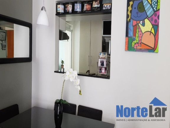 Imagem Apartamento com 2 Quartos à Venda, 50 m² em Vila Amélia - São Paulo