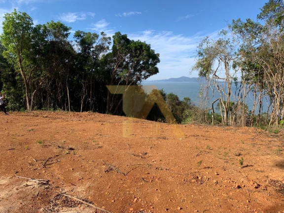 Imagem Fazenda à Venda, 24.000 m² em Itapeva - Imaruí Imagem Fazenda à Venda, 24.000 m² em Itapeva - Imaruí
