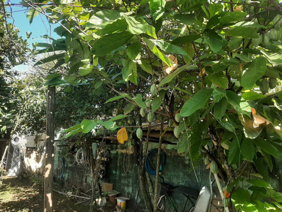 Imagem Casa com 2 Quartos à Venda, 450 m² em Jardim Carolina - Ubatuba